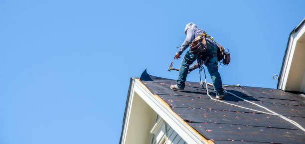 Best Roof Gutter Cleaning  in Riverside, MO